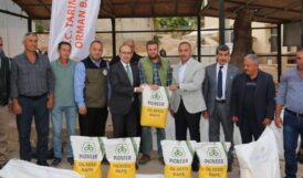 Bursa Karacabey’de üreticilere kanola tohumu dağıtıldı